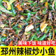 辣椒炒小魚徐州特產(chǎn)邳州睢寧干小魚炒辣椒香辣下飯菜私房菜卷煎餅 辣椒炒小魚128克x1瓶裝