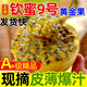 精品純甜黃金百香果甜一級5斤廣西欽蜜9號樹(shù)上熟現摘水果大果包郵 5斤 特大果【約4-6個(gè)／斤】純甜無(wú)酸