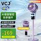 VCJ【德國品牌】電風(fēng)扇空氣循環(huán)扇落地扇智能語(yǔ)音遙控家用大風(fēng)力輕音臺地兩用 頂配款【AI語(yǔ)音交互+8字自動(dòng)搖頭+抗菌扇葉】