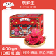 京鮮生 紅心火龍果超大果10粒裝 單果400g 凈重8斤禮盒 生鮮水果