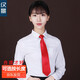 dascenery女士拉鏈領(lǐng)帶正裝商務(wù)職業(yè)學(xué)院風(fēng)自動(dòng)懶人方便免打易拉得領(lǐng)帶女 大紅 光面 150-170[38cm]