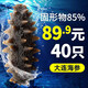 鮮拔頭籌 即食海參 大連刺參單個(gè)裝 深海遼刺參海參禮盒春節(jié)送禮鮮食海參 店長(zhǎng)推薦【35-45頭/斤】1斤裝