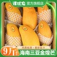 譯優(yōu)農正宗海南三亞金煌芒新鮮芒果當季熱帶水果甜心芒生鮮特產(chǎn)整箱 凈重5斤精選大果丨單果300g+