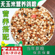 佐之尋鴿糧鴿子糧鴿子飼料鴿子糧食鴿子食物鴿飼料鳥(niǎo)食營(yíng)養鴿糧保健砂 無(wú)玉米鴿子糧【2斤裝】