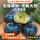 密農人家密云本地新鮮藍莓 酸甜可口 無(wú)膨大劑自然熟孕婦時(shí)令水果125gx4盒 小果(果徑約15mm-18mm) 125g*4盒