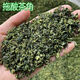 芝易福建安溪鐵觀音茶角新茶沫特價碎茶葉正品濃香型清香特濃烘焙原料 一斤鮮綠茶角【升級款】