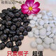 柏潮黑白五子棋圍棋四子棋五子棋古風(fēng)高顏值圍棋五子棋大號成人。 白瓷黑瓷共400顆 陶瓷