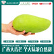 閩域?qū)r廣西大青芒青皮大芒果新鮮應(yīng)季水果香甜可口一級大果包郵送禮 凈重2.5斤【單果150-300g】果農(nóng)甄選果 肉多核薄，香甜多汁