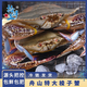拾鮮生 梭子蟹船凍舟山特大野生螃蟹 新鮮冷凍海蟹海鮮水產(chǎn)3斤梭子蟹7-9兩/只 源頭直發(fā)