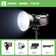 銳鷹（FALCONEYES）S200Bi直播補光燈雙色溫常亮攝影打光燈影棚直播球形柔光燈罩拍照專業(yè)錄像視頻拍攝燈 套裝1：單燈標配【質感硬光、亮度翻倍（不含燈架）】
