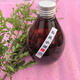 虎頭蜂泡酒馬蜂胡峰野生虎頭蜂活體馬蜂誘蜂水原材料 10年黑盾美人500ml(酒體發(fā)紅)