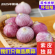 味小仙紫皮獨(dú)頭蒜干蒜 2025新蒜 獨(dú)頭大蒜頭蔬菜 大號(hào)(3.0cm以上)干蒜 5斤