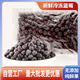 達不榴冷凍新鮮藍莓速凍奶油藍莓果醬奶茶烘焙原料 1kg