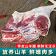簡滋 清真帶皮羊排骨肋排新鮮原切山羊肉手抓燒烤食材羊扒生鮮 精選帶皮羊腿3.5斤