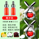 GEETHA車(chē)載香薰出風(fēng)口風(fēng)扇裝飾擺件汽車(chē)香水車(chē)內除異味持久留淡香氛新款 【梔子花】2只裝+10ML補充液2瓶