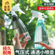 恬滋記 家用澆花噴壺園藝專(zhuān)用噴水壺 養花神器小灑水壺清潔酒精噴霧瓶 磨砂噴壺500ml【顏色隨機】