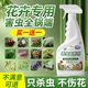COODORA花卉殺蟲(chóng)劑植物蔬菜果樹(shù)蚜蟲(chóng)土壤月季花草紅蜘蛛小黑飛蚧殼500ML