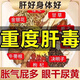 古茶養(yǎng)仁菊花枸杞?jīng)Q明子茶養(yǎng)盰護(hù)肝茶金銀花熬夜特級(jí)去火養(yǎng)生茶禮盒540g