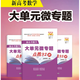 2025 高考必刷 新高中數(shù)學大單元微專題點撥32講必修第二冊 數(shù)學