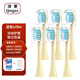清奢適配Ulike電動(dòng)牙刷頭UB601/UB602/UB603/SN903/careup海綿寶寶CB02替換頭通用索納斯SN903/601刷頭 6支 黃色清潔型