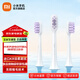 米家聲波電動(dòng)牙刷頭敏感型3支裝 杜邦刷毛無金屬3D貼合牙齒適配米家聲波電動(dòng)牙刷T501/T501C/T301/T302 米家聲波電動(dòng)牙刷頭（敏感型）3支裝