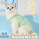 哈駱頓（HALODN）狗狗衣服夏季貓咪衣服防曬透氣泰迪比熊幼犬幼貓小型貓犬夏天背心 薄荷綠M胸圍41cm（建議5-8斤） 【夏季狗狗衣服，小型犬專用】