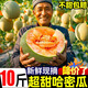 黃六爺正宗哈密瓜9斤新鮮水果網(wǎng)紋玲瓏蜜靜岡冰淇淋西州蜜甜瓜整箱包郵 2-4斤【1-2個果】爆甜多汁