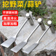 正齊加厚一體不銹鋼蒜鏟挖野菜專(zhuān)用鏟子農用除草神器園藝挖土種菜工具