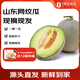 趣嘗鮮 山東玫瓏網(wǎng)紋蜜瓜 2枚裝 凈重5斤 冰淇淋瓜 源頭直發(fā) 一件包郵
