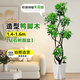 臨雅鴨腳木客廳大盆栽室內(nèi)陽臺造型綠植物鴨掌木鵝掌財落地式大型擺件 造型鴨腳木1.4-1.6米+鉆石盆