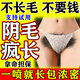 私處毛發(fā)增長(cháng)液陰部毛體毛生長(cháng)液毛發(fā)快速增長(cháng)眉毛睫毛頭發(fā)男女用 1盒裝【毛發(fā)生長(cháng)液】
