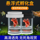 CRAZY PLANT孔雀魚(yú)繁殖盒漂浮隔離盒孵化器魚(yú)缸小魚(yú)魚(yú)苗母魚(yú)幼魚(yú)隔離懸浮式 中號粗網(wǎng)+大號細網(wǎng)【白色套裝】