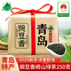 嶗茗【2025新茶】綠茶青島嶗山綠茶濃香型250g豌豆香袋裝正宗山東茶葉