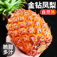 海南金鉆鳳梨9斤新鮮水果當季芒果鳳梨 1個【偏小試吃果】 正宗金鉆鳳梨