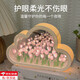 山頭林村郁金香小夜燈生日禮物女手工DIY材料包畢業(yè)送老師閨蜜實(shí)用伴手禮 20朵粉色云朵郁金香/材料包USB款