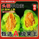 山東羊角蜜甜瓜當季現(xiàn)摘正宗脆甜蜜瓜香瓜羊角脆新鮮水果 精品羊角蜜【帶箱3斤】