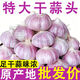 【十足干】山東紫白皮大蒜頭干蒜批發(fā)特大號(hào)新鮮便宜大頭蒜包郵 帶箱 0.2斤 （中果40mm+）