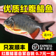鯧魚苗紅腹白鯧魚淡水養(yǎng)殖食用倉魚苗肉食兇猛活體昌魚好養(yǎng)觀賞魚 順豐包郵-30條6－7厘米10%防損