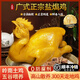 星球煮【順豐冷運】正宗廣東鹽焗雞整只客家雞肉特產(chǎn)鹽局老雞熟食即食 客家鹽焗雞700g-800g【2只嫩雞】
