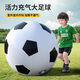 TaTanice戶外玩具充氣大足球幼兒園專用草坪草地巨型皮球兒童男孩生日禮物