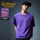 卡賓（CABBEEN）【重磅水洗】男裝短袖t恤2025夏季新款純棉潮流寬松圓領(lǐng)上衣 深紫色59（寬松版型） 2XL /185/54