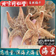北京同仁堂海星干貨中藥材大海星刺棘海星海五星海盤(pán)車(chē)煲湯泡酒 50克帶刺大海星