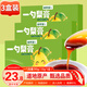 修年堂一勺梨膏390g（130g*3）純梨膏秋梨膏原榨酥梨萃兒童成人泡水便攜