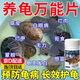 護(hù)龜寶烏龜藥萬能護(hù)龜片烏龜白眼病專用巴西龜肺炎藥生病理療粉 萬能護(hù)龜片1瓶 腐皮爛甲腸炎