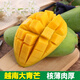 風(fēng)車(chē)車(chē)農場(chǎng)越南大青芒 新鮮芒果 青皮黃皮隨機發(fā) 當季新鮮水果 3斤大果（單果350g+）青/黃隨機