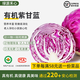 綠源禾心有機(jī)紫甘藍(lán)新鮮采摘紫包菜卷心紫椰菜即食輕食沙拉健康無農(nóng)殘蔬菜 兩斤