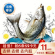 簡鮮新鮮活凍三去開背開腹白蕉鎮(zhèn)海鱸魚海魚海鮮水產(chǎn)去鰓去鱗去內(nèi)臟 三去海鱸魚250-300克*6條裝