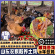 云映漁舟 山東微山湖農家散養老母雞3年放養笨草雞走地雞新鮮整雞現殺順豐 3年老母雞1只（宰殺后3斤以上）