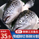 朵芙挪威三文魚 三文魚腩條2斤 邊角料碎肉 三文魚頭 三文魚排  生鮮 挪威三文魚頭 500g *3只（凈重）