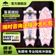 冰龍陸地沖浪板B9-2.0彈簧橋路沖滑板初學(xué)者專(zhuān)業(yè)陸沖板男女生兒童 30英寸-落英繽紛 B9彈簧橋(入門(mén)后橋墊)